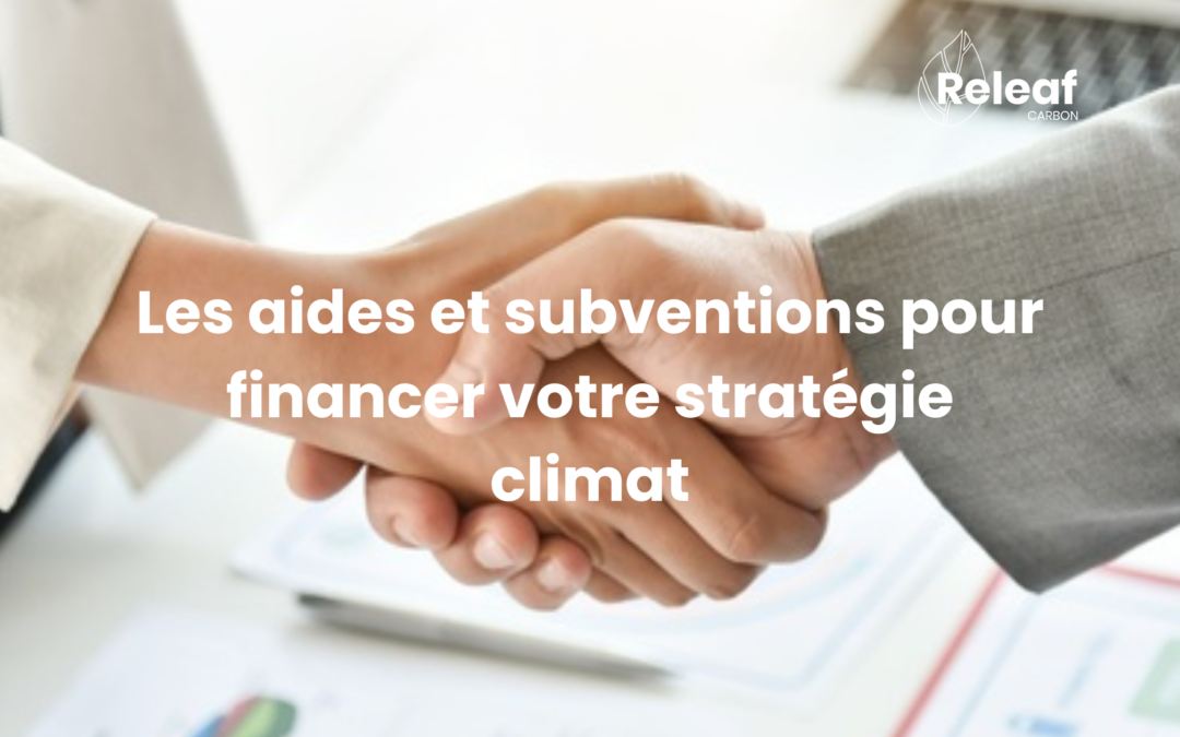 Quelles subventions pour financer votre transition écologique ?